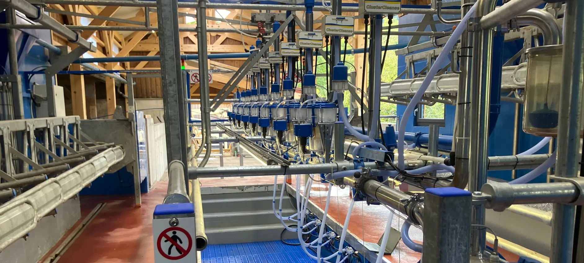 Détail du câblage électrique et des équipements automatisés d’une laiterie professionnelle dans le Bas-Rhin par NJ Électricité.